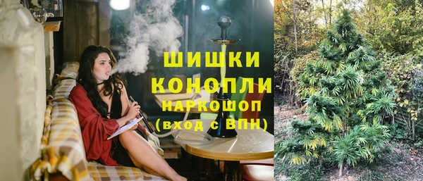 гашик Алексеевка