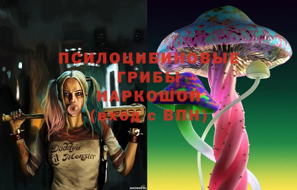 соль курить ск Алзамай