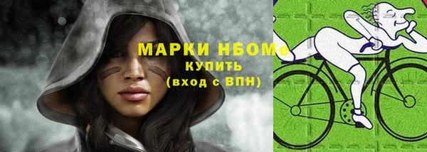 хмурый Дмитровск