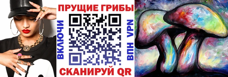 Галлюциногенные грибы Psilocybine cubensis купить наркотик мориарти как зайти Талдом OMG ONION
